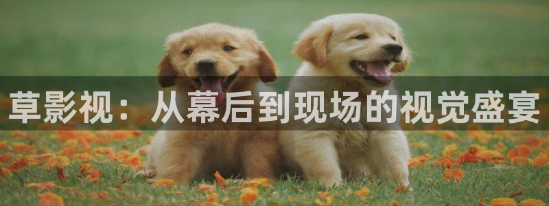 精东影业下载大全：草影视：从幕后到现场的视觉盛宴