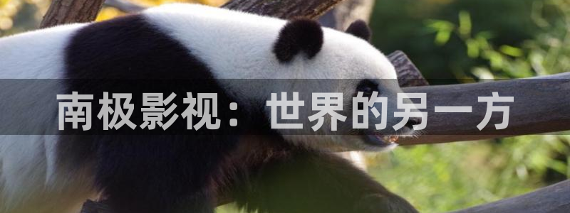 精东影业精东传媒在线观看