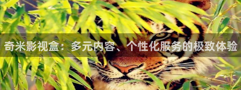 精东影视大全：奇米影视盒：多元内容、个性化服务的极致体验