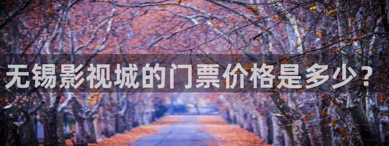 91制片精东传媒影业